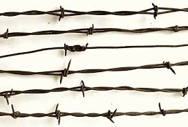 Barbed Wire